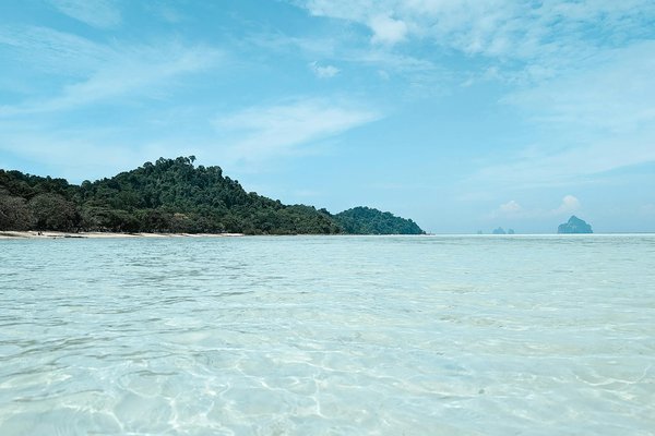 Comment organiser des vacances en Finlande avec des cours de survie en forêt et des excursions en raquettes?